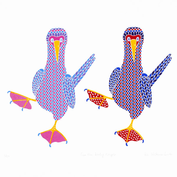 pair of blue footed boobies dancing together print