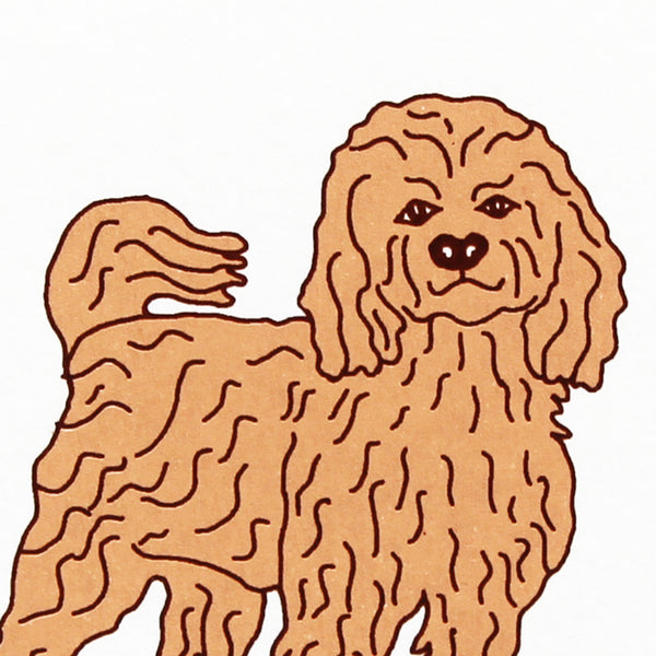 Cockapoo screen print