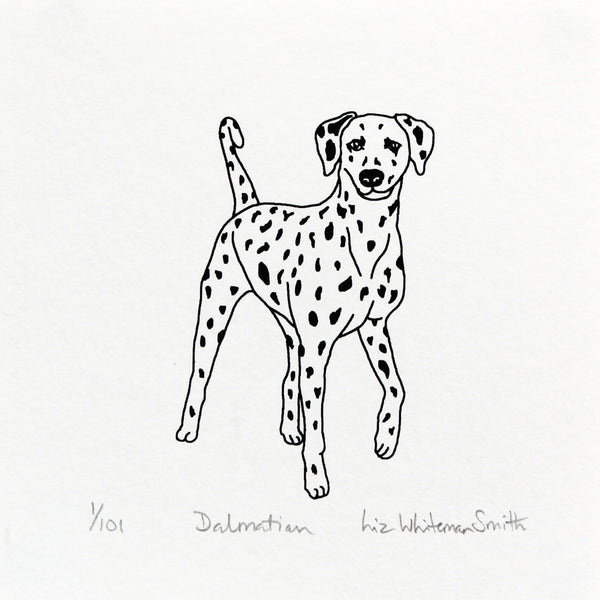 Dalmatian screen print by Liz whiteman Smith