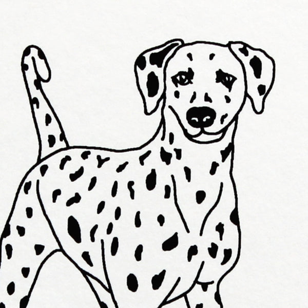 Dalmatian screen print by Liz whiteman Smith