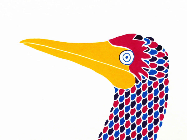 two dancing blue footed boobies print