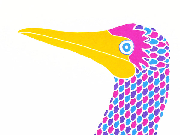 Dancing booby couple