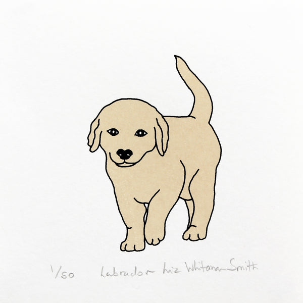 Labrador screen print