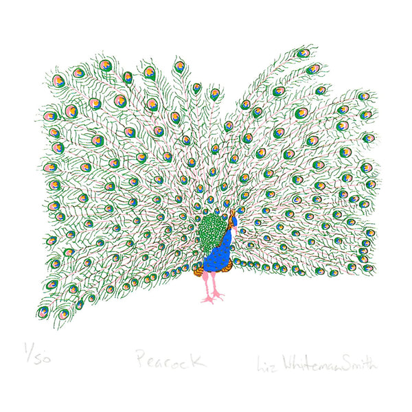 Print of a colourful peacock in full display