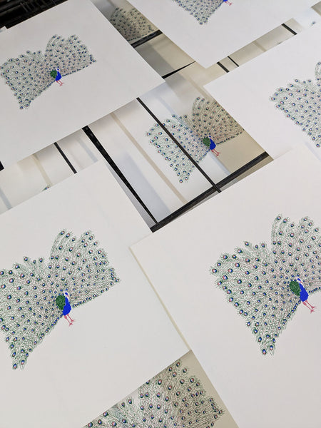 Print of a colourful peacock in full display on the drying rack