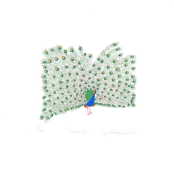 Print of a colourful peacock in full display