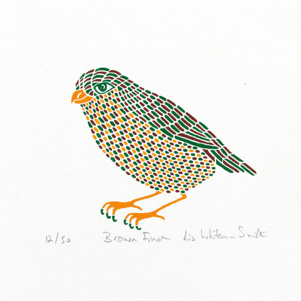 Brown Finch