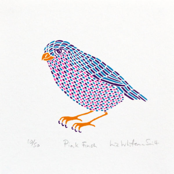 Pink Finch