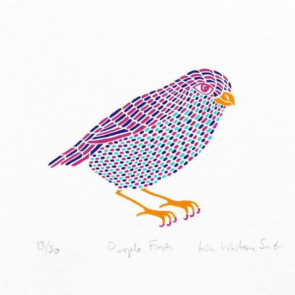 Purple Finch