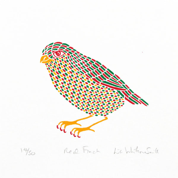 Red Finch