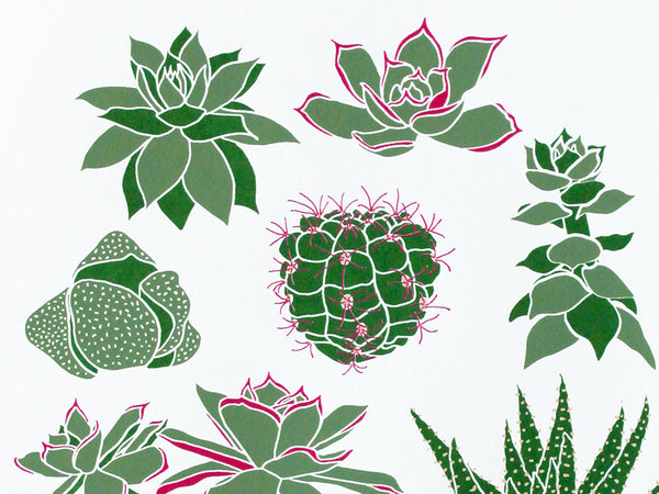 Group of succulents and cacti limited edition screen print, 30x40 cm