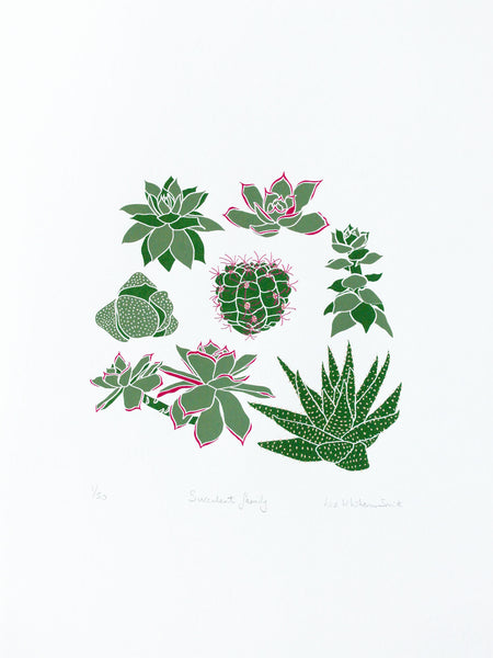 Group of succulents and cacti limited edition screen print, 30x40 cm