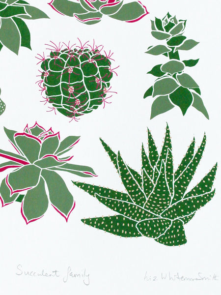 Group of succulents and cacti limited edition screen print, 30x40 cm