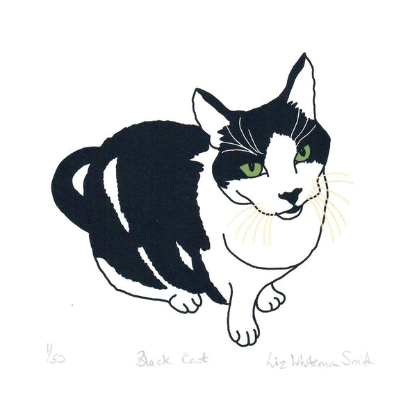 Print of a black and white  cat with green eyes
