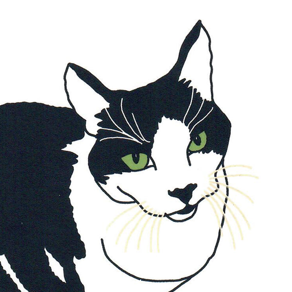 Print of a black and white  cat with green eyes