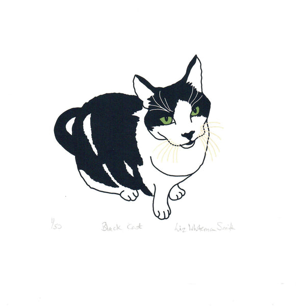 Print of a black and white  cat with green eyes