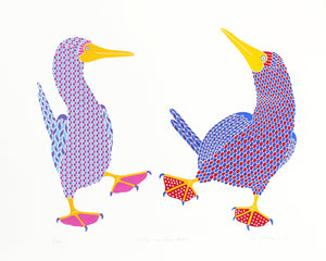 A pair of colourful dancing booby birds  print
