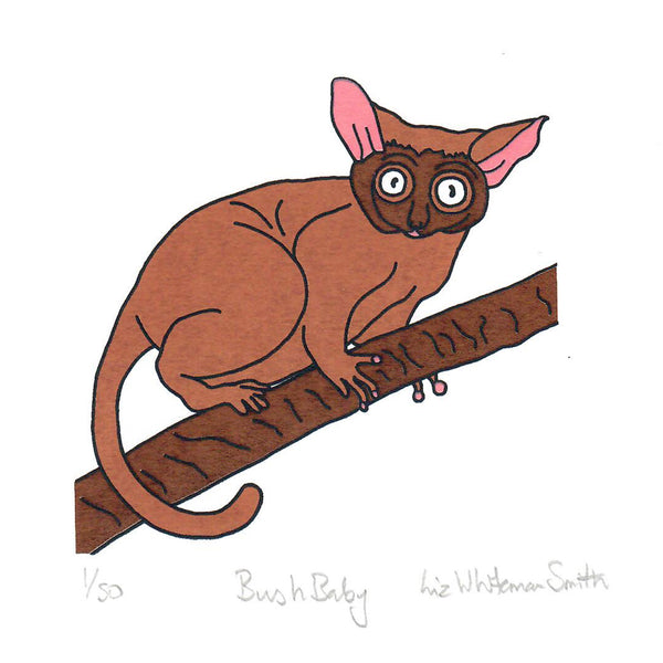 Illustration of a bush baby on a branch with 'Bush Baby' and 'Liz Whitmore Smith' text.