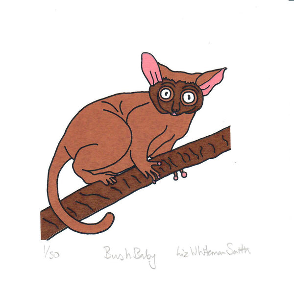 Illustration of a bush baby on a branch with 'Liz Whiteman Smith' signature