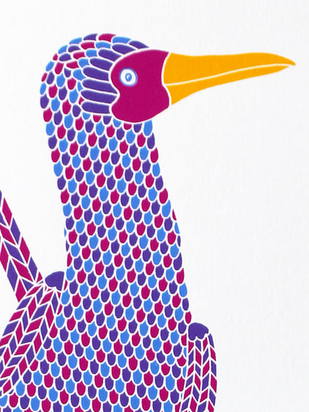 Pink, purple and blue dancing booby bird with pink dotty feet print