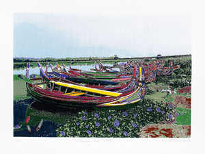 Colourful boats, water hyacinths on a lake