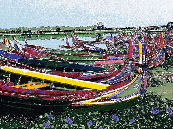Colourful boats, water hyacinths on a lake