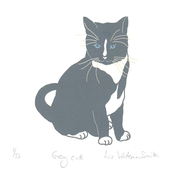 Print of a grey  cat with blue eyes