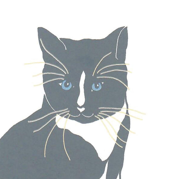 Print of a grey  cat with blue eyes