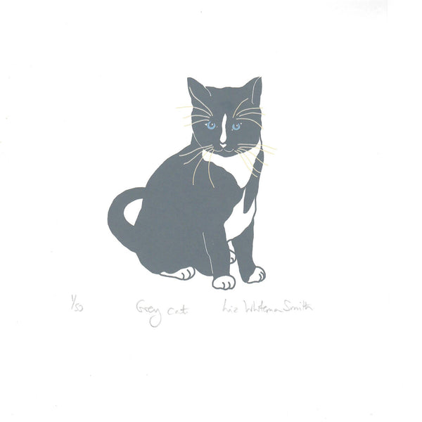 Print of a grey  cat with blue eyes