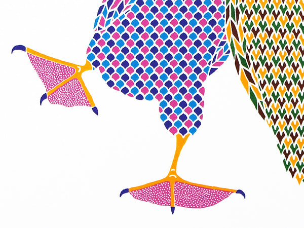 A pair of colourful dancing booby birds print