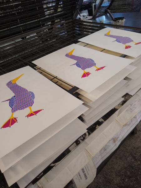Pink booby bird with dot pattern on feet  screen print