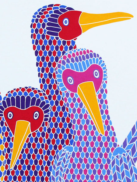 Team Photo booby bird print