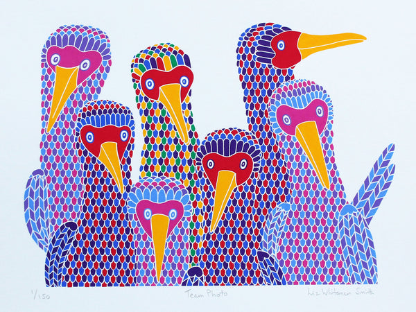 Team Photo booby bird print