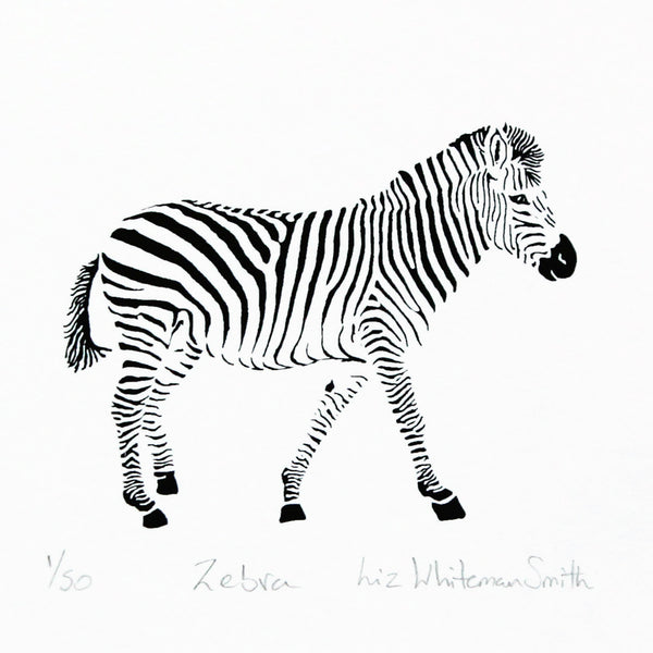 Black and white zebra illustration on a white background