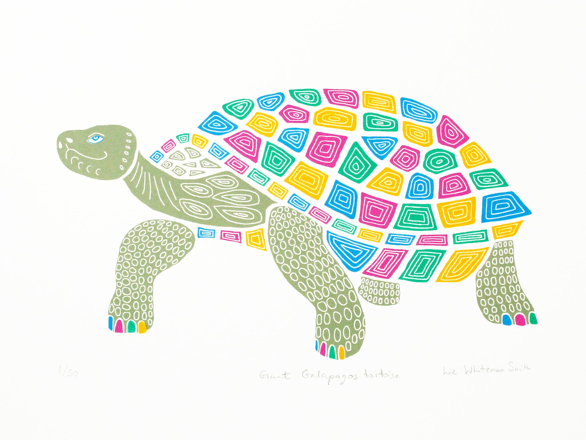 Giant Galapagos tortoise screen print by Liz Whiteman Smith