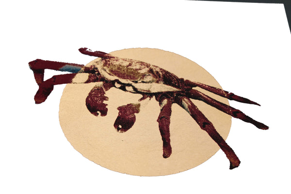 Gold Sally lightfoot crab