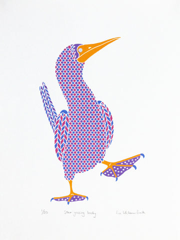 Star gazing dancing booby bird  Limited edition screen print in pink, purple and blue