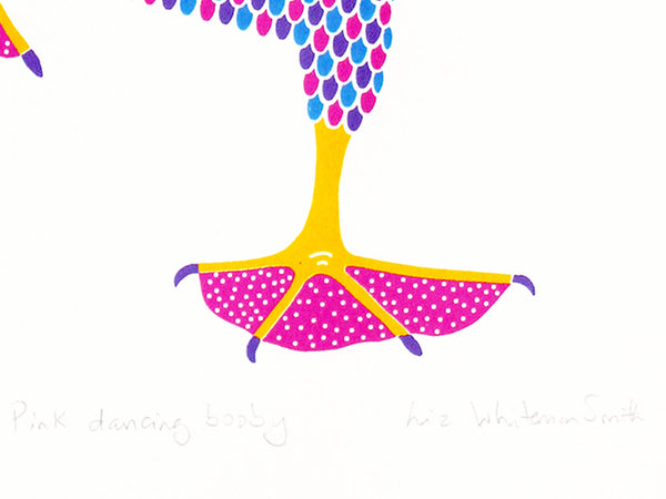 Pink dancing booby I