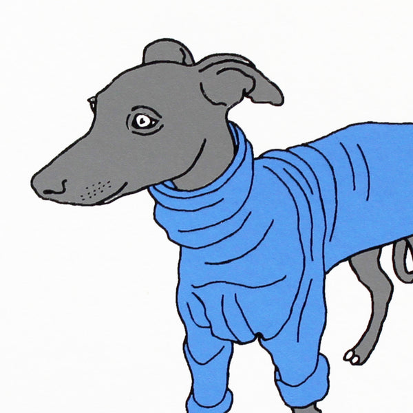 Grey whippet dog in a blue coat screen print by Liz Whiteman Smith